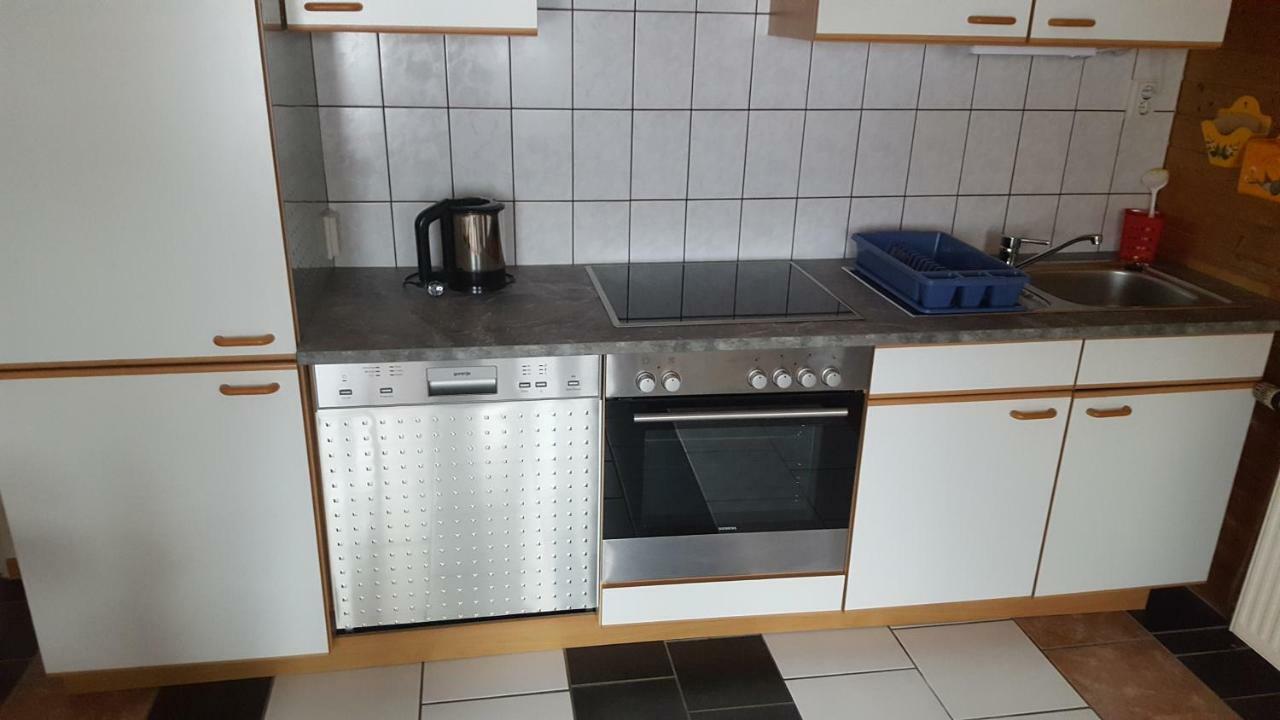 Ferienwohnung Haus Cerny 巴德哥依斯恩 外观 照片